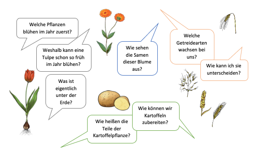 Bildschirmfoto 2025-04-29 um 11.57.55